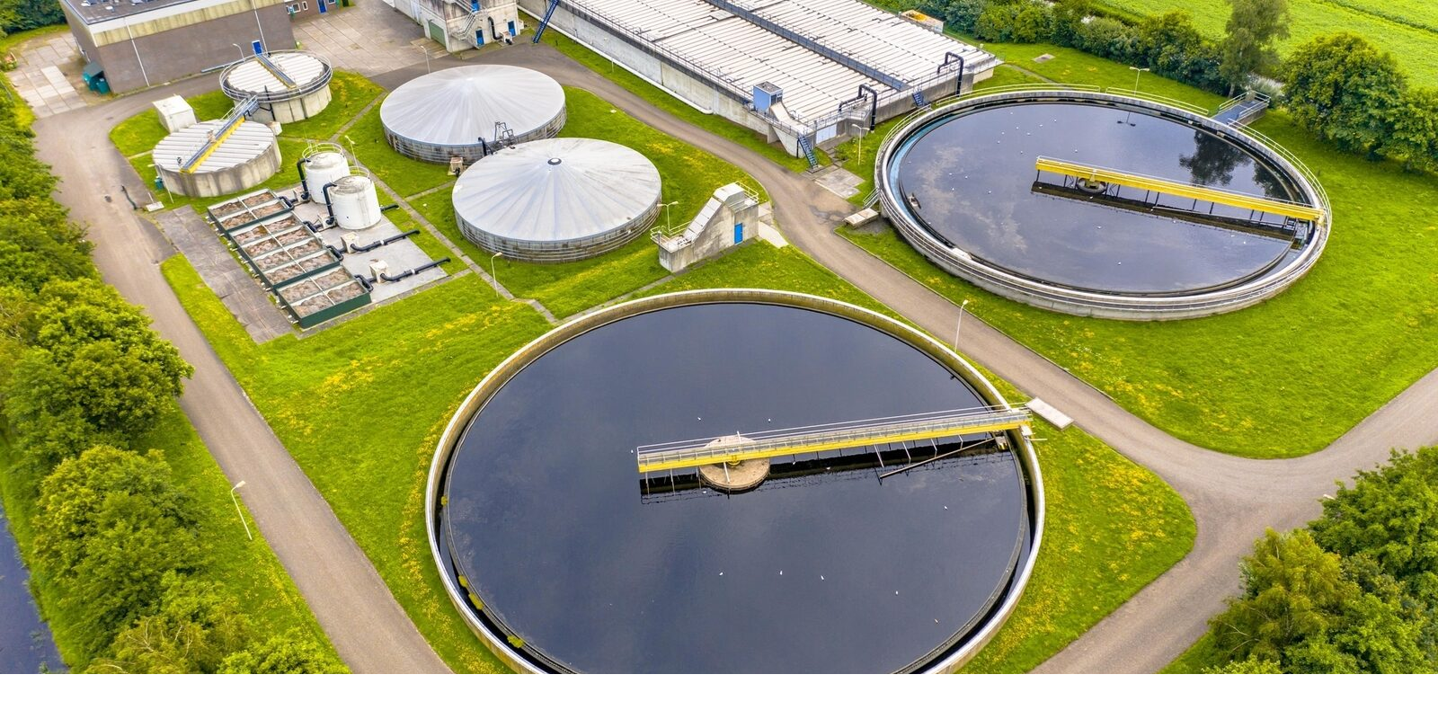 Worldwide Water Contamination: Giardia Lamblia
