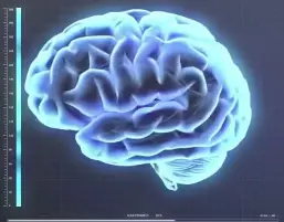Bioresonance, an alternative therapy for mild and moderate depression