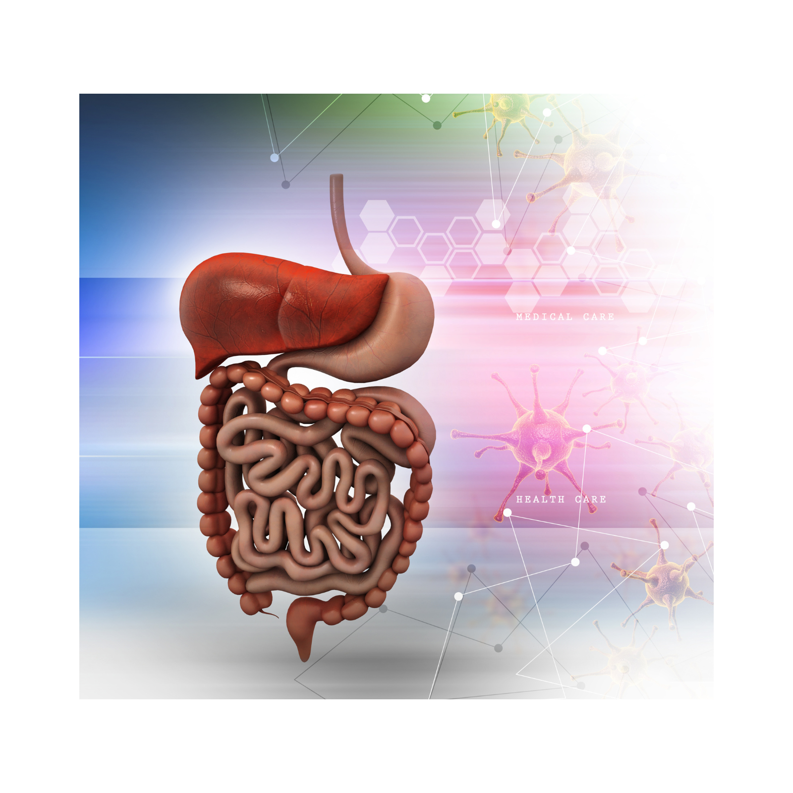 Placebo-controlled study of the effects of a standardized MORA bioresonance therapy on functional gastrointestinal complaints