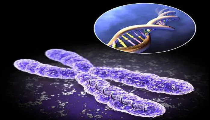 Transduction of DNA information through water and electromagnetic waves