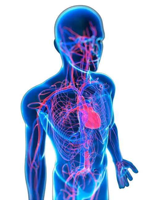 The use of a portable, wearable form of pulsed radio frequency electromagnetic energy device for the healing of recalcitrant ulcers: a case report