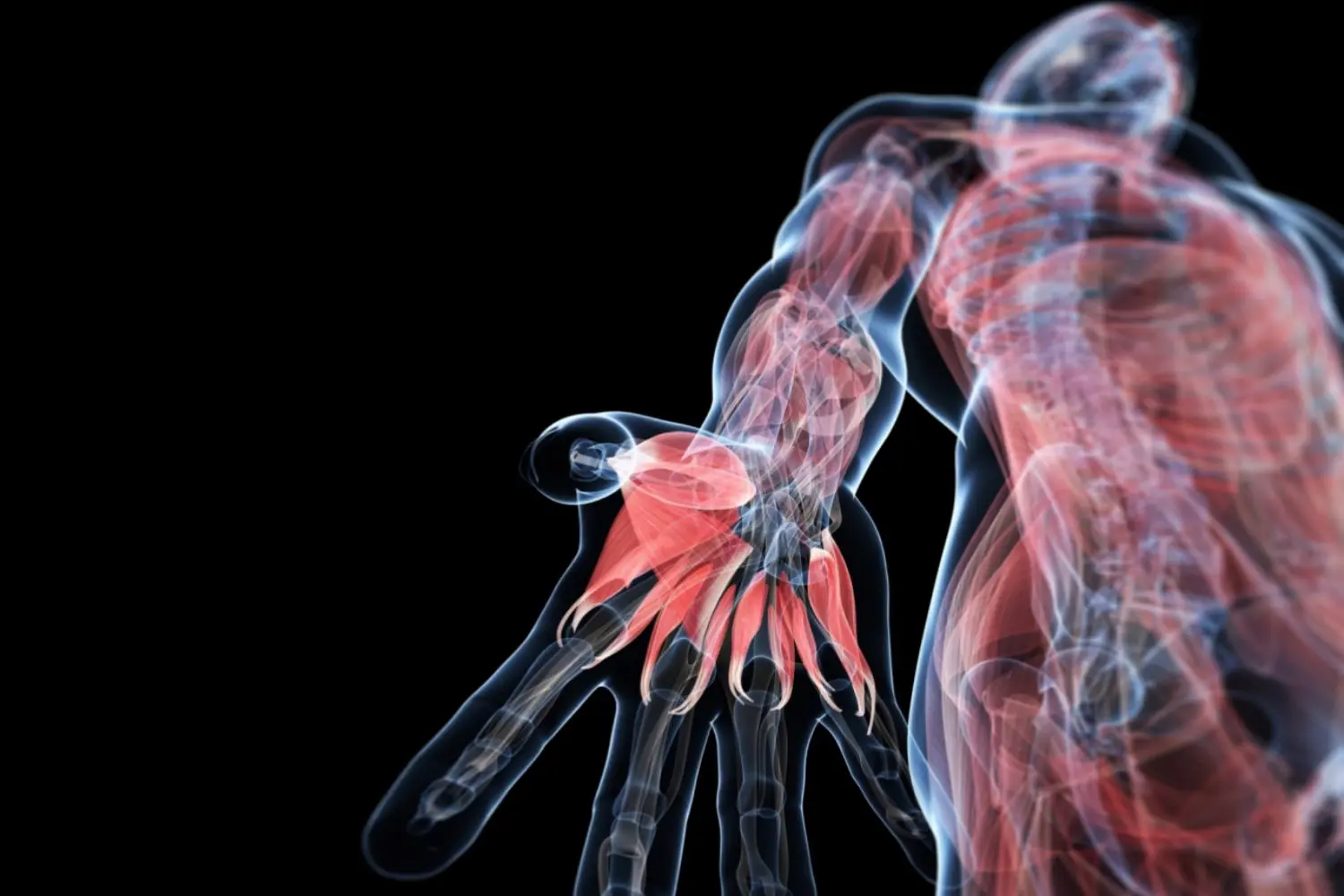 Complex treatment of urogenital disorders using bioresonance